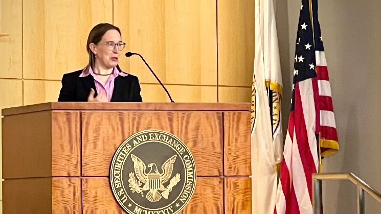 SEC Task Force Chief Says Crypto Traders Need to be Growups, Not Cry to Government